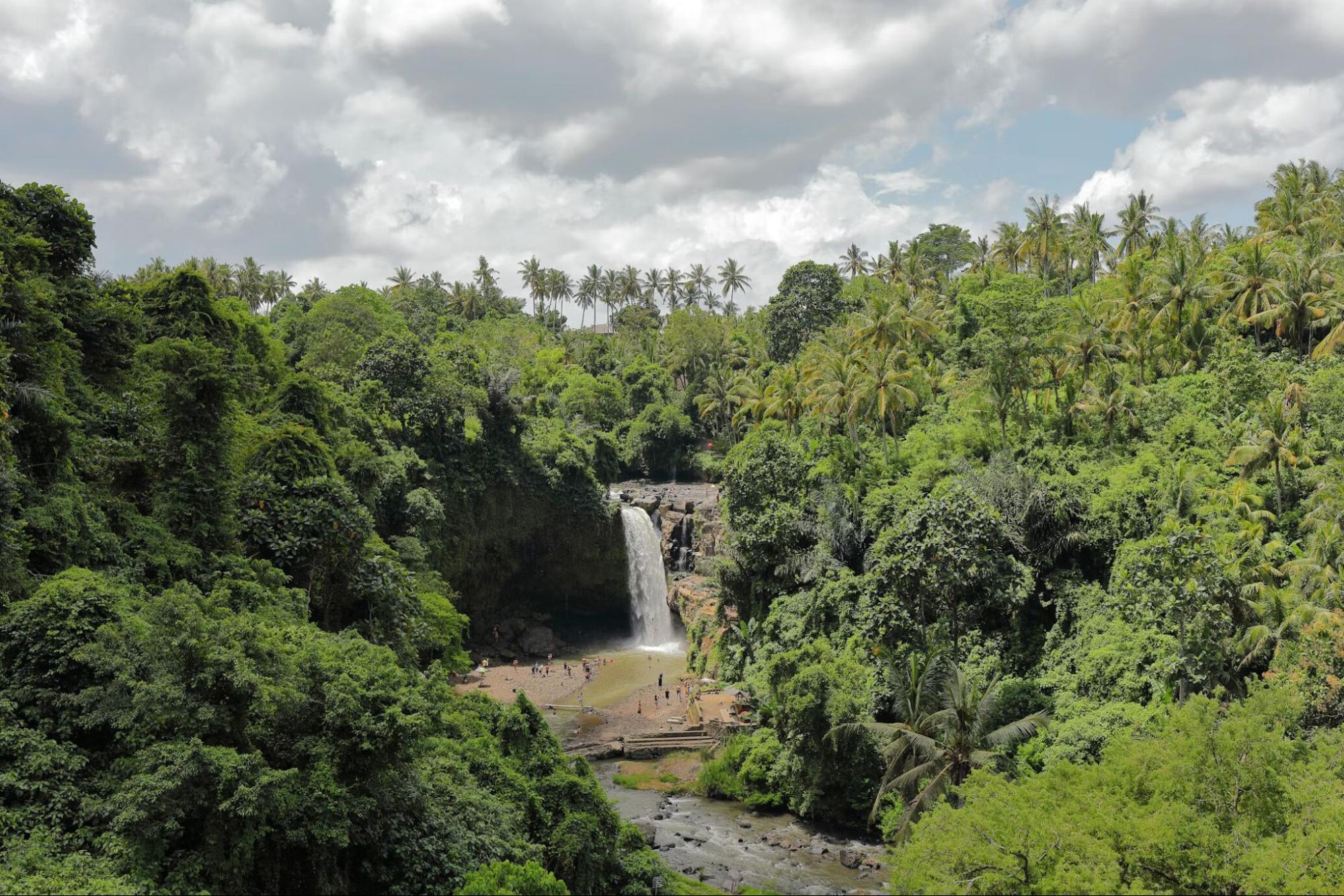 A gorgeous waterfall amidst the lush green captivity