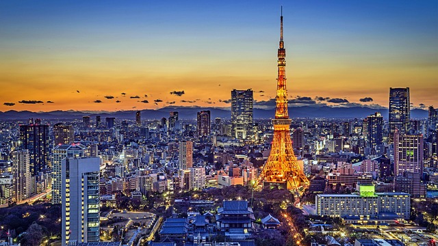 Aerial view of Tokyo city skyline at dusk