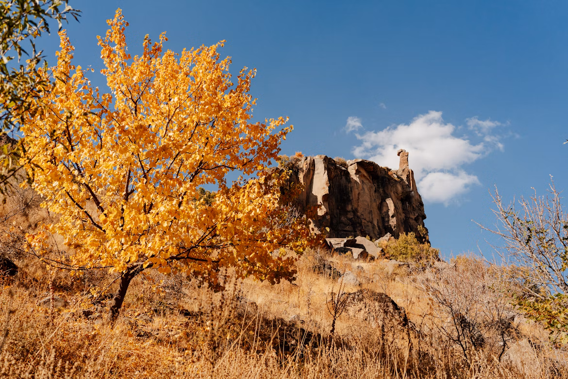 Autumn colors in Cappadocia, Turkey