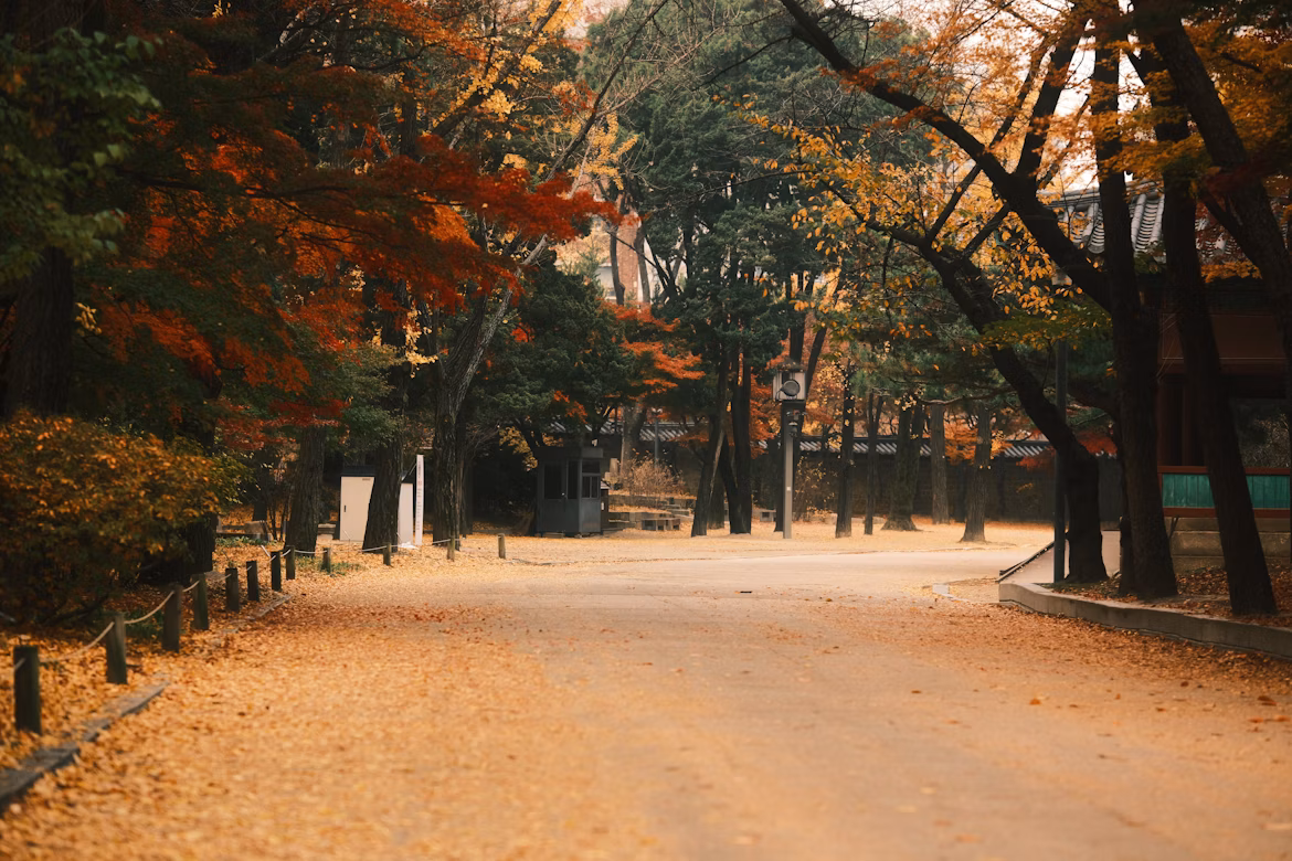 Autumn in South Korea
