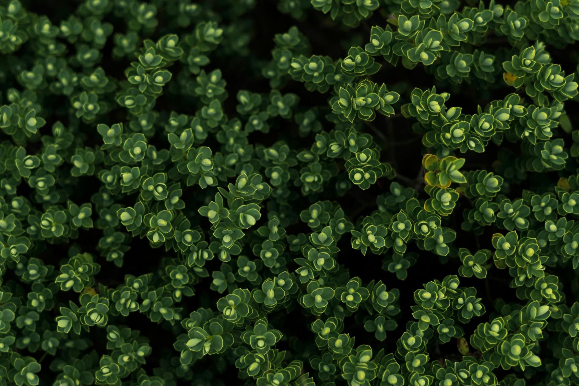 Beauty of New Zealand