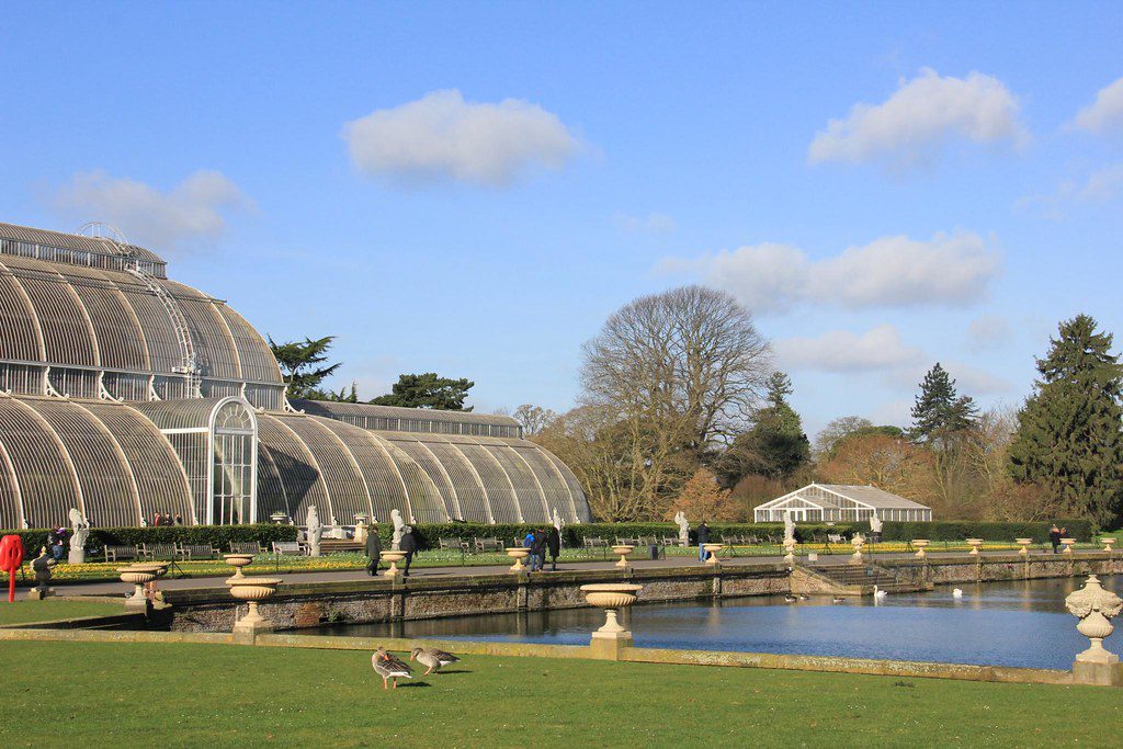 Enjoy walking in the Royal Botanic Gardens