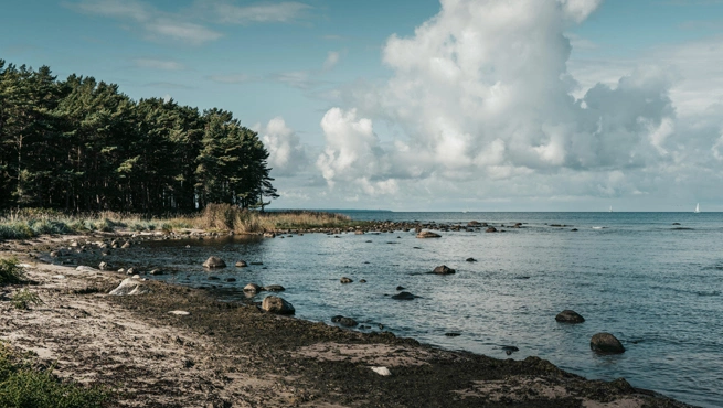 Estonia Visa Photo Requirements for Indians