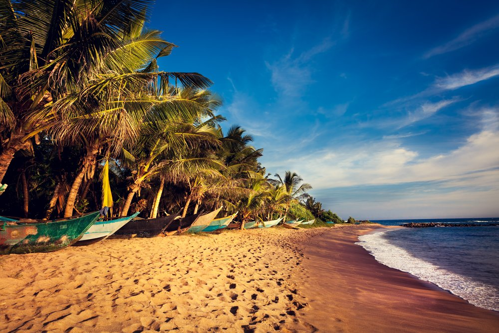 Beaches in Sri Lanka: A Guide to the Most Stunning Shores