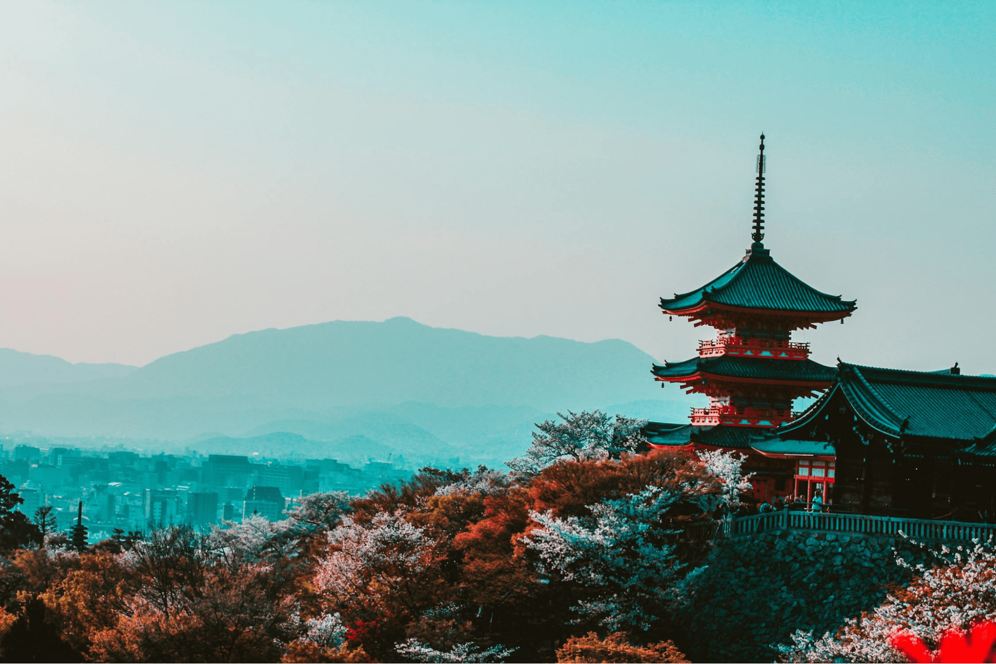 Facts About Japan 2026: Travel, Culture & Fun