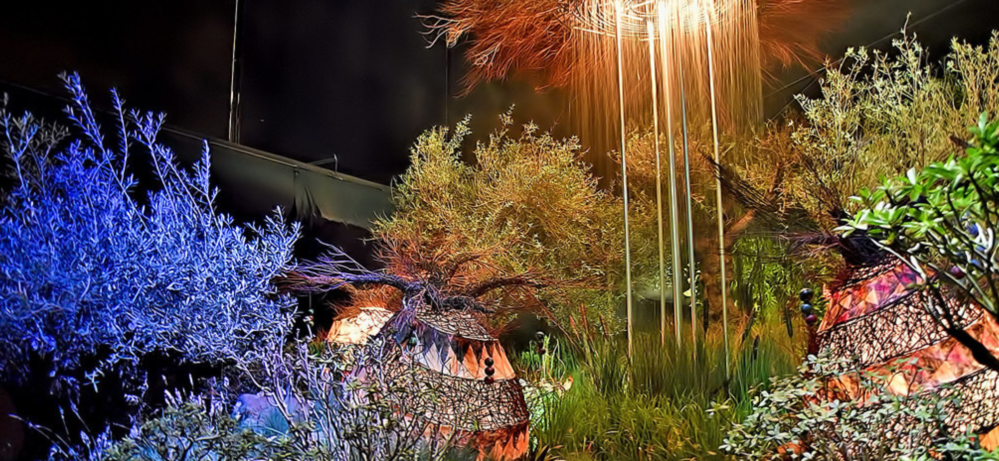 Festivals in South Africa