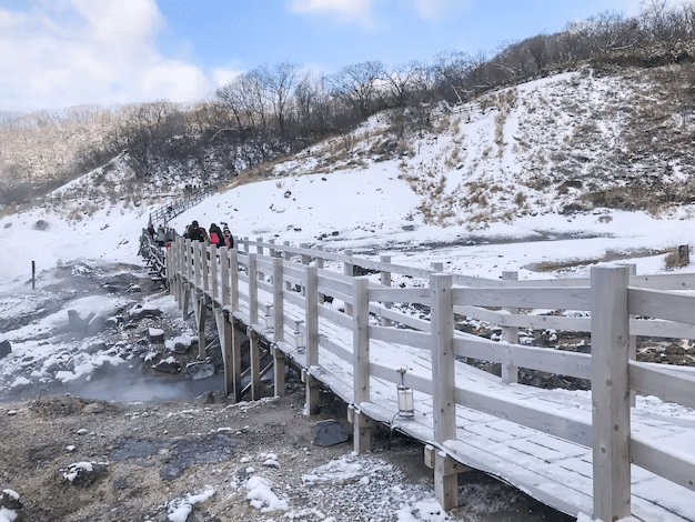 Georgia Weather Guide for January