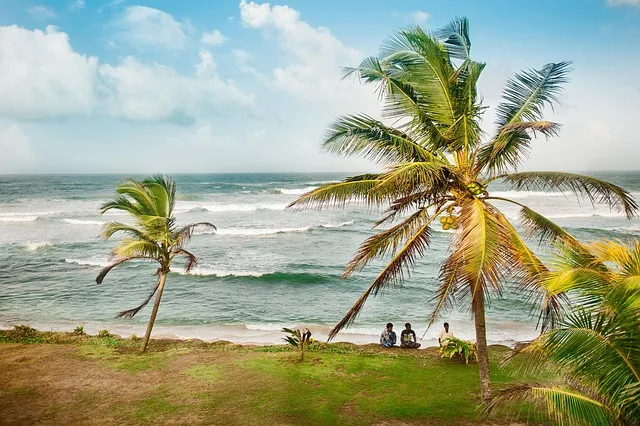 Glimpse of a beach in Sri Lanka