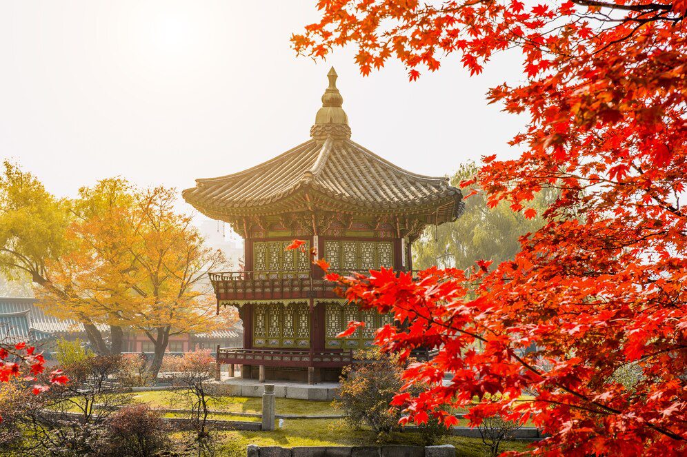 Summer in South Korea: A Seasonal Travel Guide