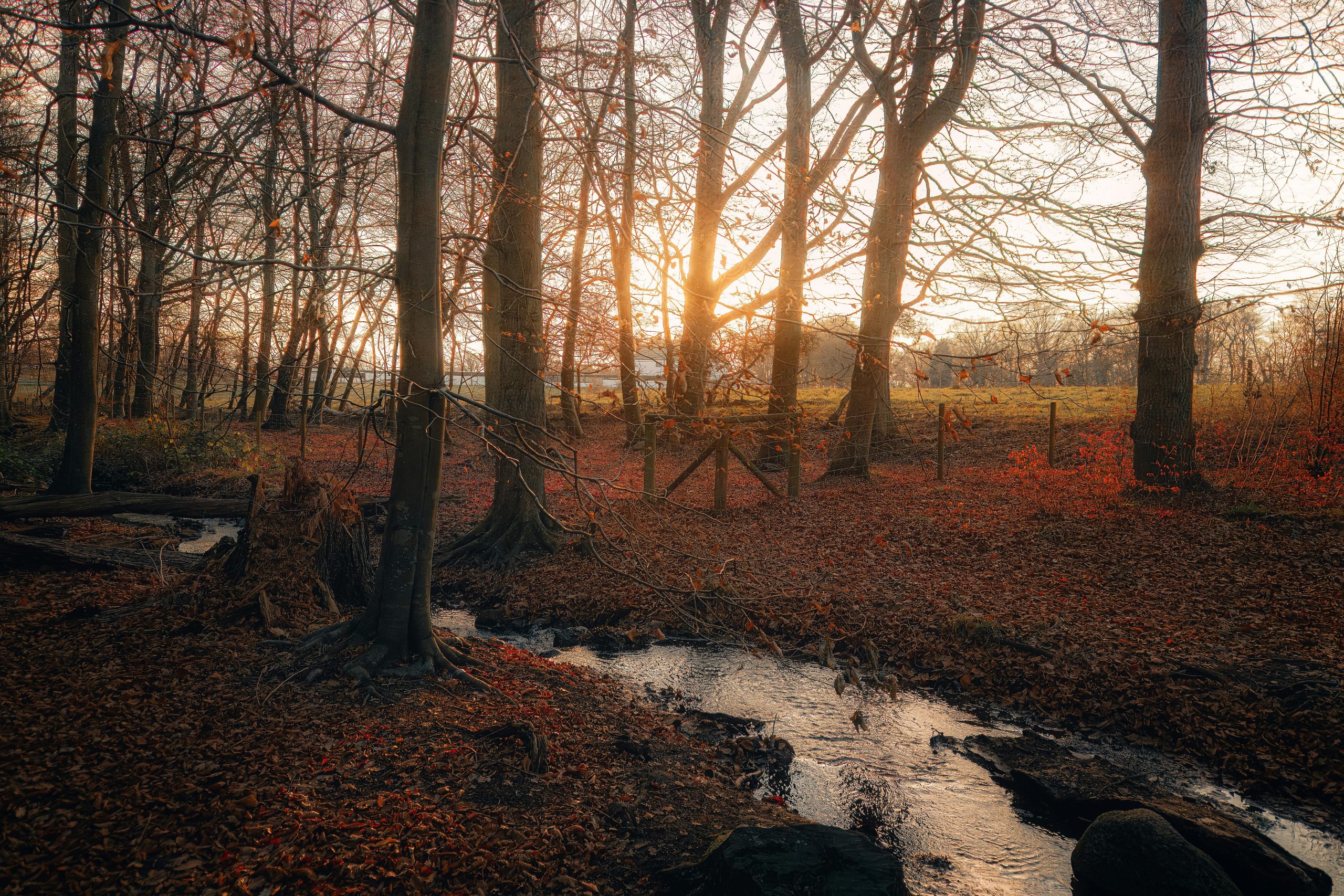 A Picturesque Coastal City