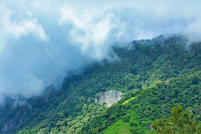 Hiking in Sri Lanka: 15 Trails for Unforgettable Adventures