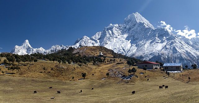 Ancient Wonders: 12 Historical Places in Nepal That Define the Himalayan Kingdom