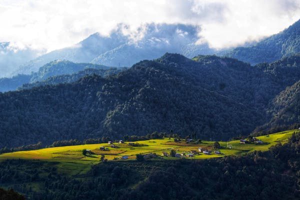 Sunlit terraced fields in a valley