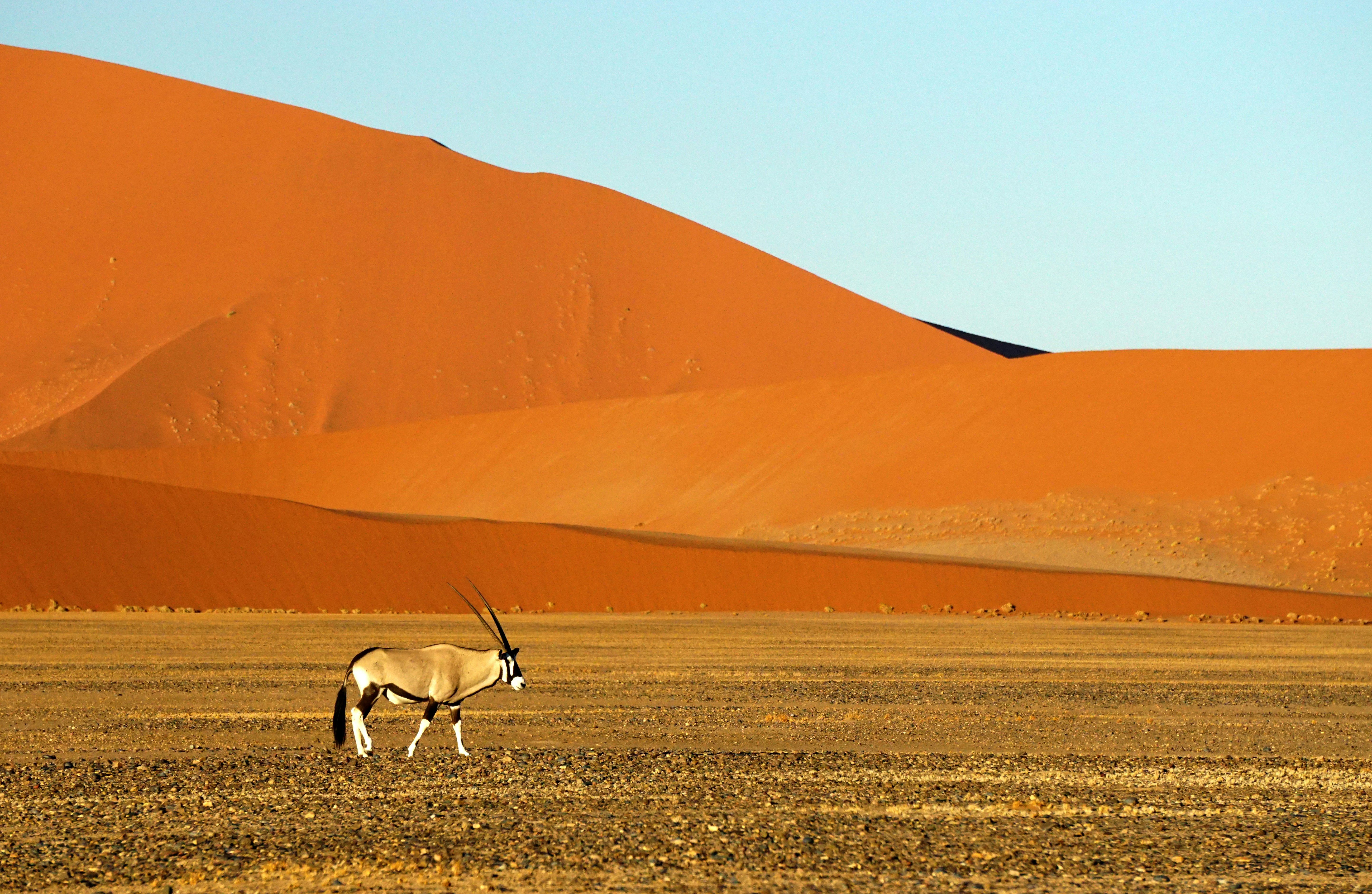 Is Namibia Safe to Visit?