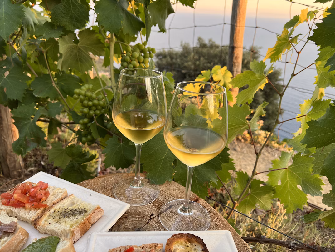 Two glasses of Italian wine