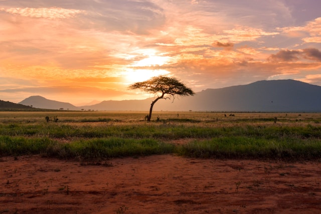 Kenya Itinerary 7 Days – Complete Safari Guide for Indian Travelers