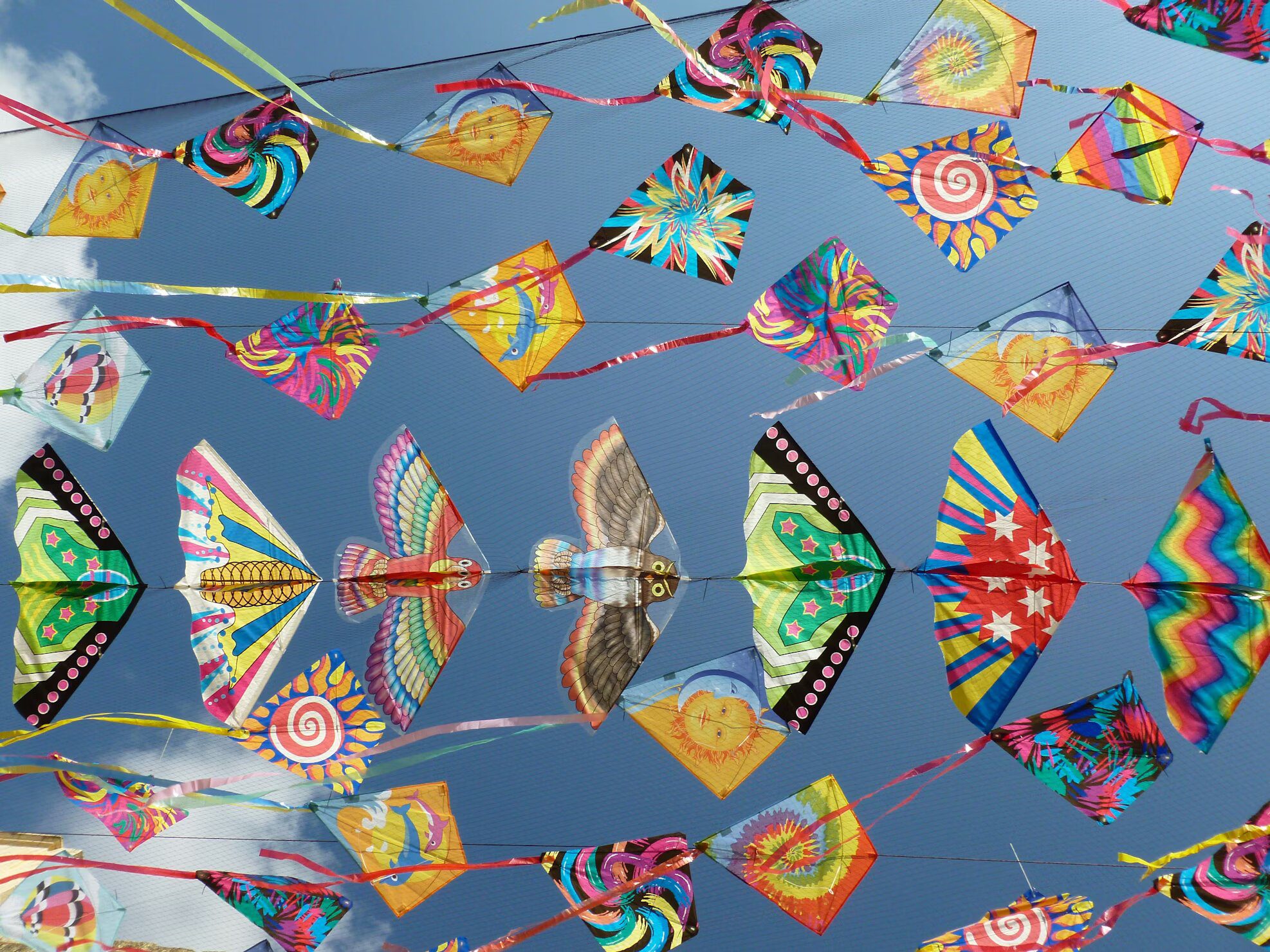 Kites flying high and high at the Bali Kite festival