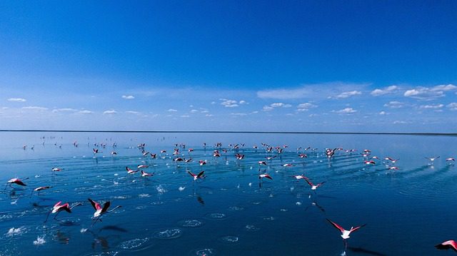 Lakes in Kazakhstan: A Complete Guide for Indian Travelers