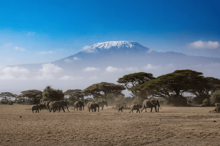 Your Complete Travel Guide to the Lakes in Kenya