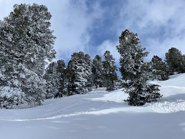 New Zealand in winter