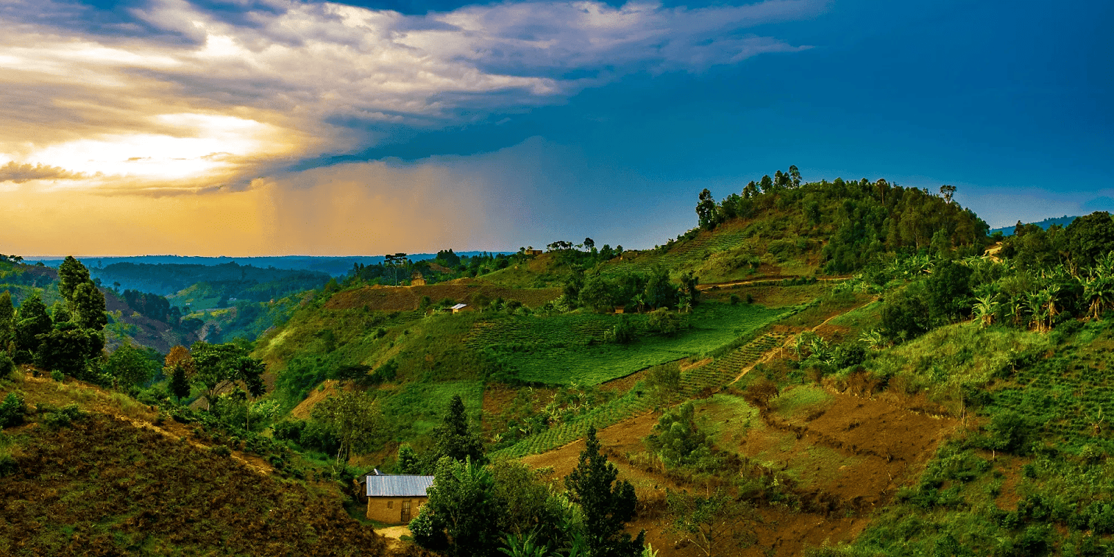 11 Alluring Reasons to Visit Rwanda An Essential Travel Guide