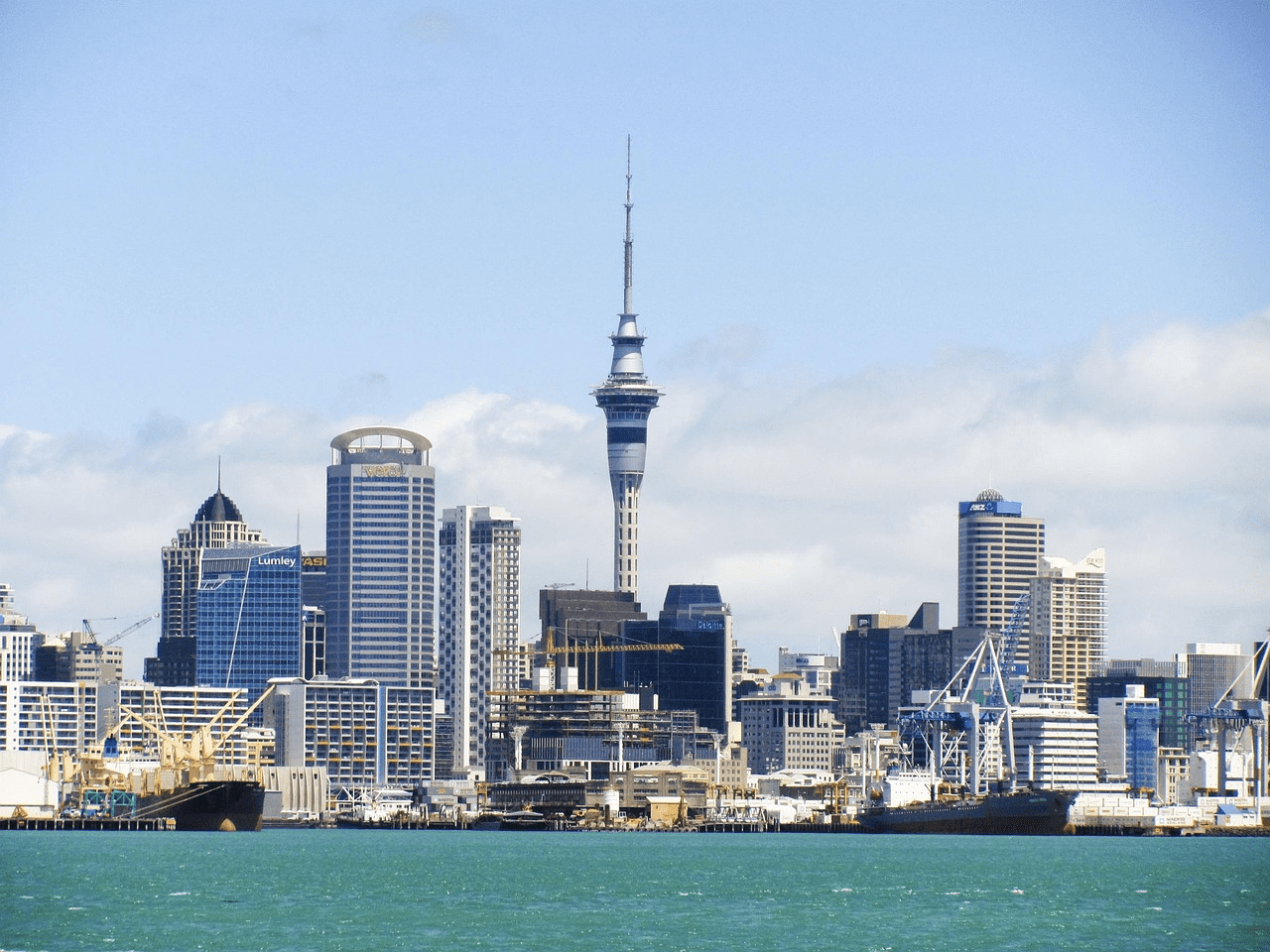 Guide to Transportation in New Zealand: Smart Ways to Get Around for Indian Travelers