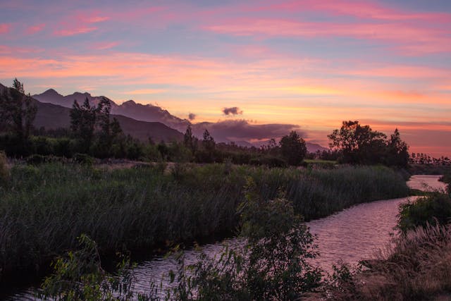 South Africa to Ease Visa Rules for Indians: 90 Day Waiver & Tour Scheme