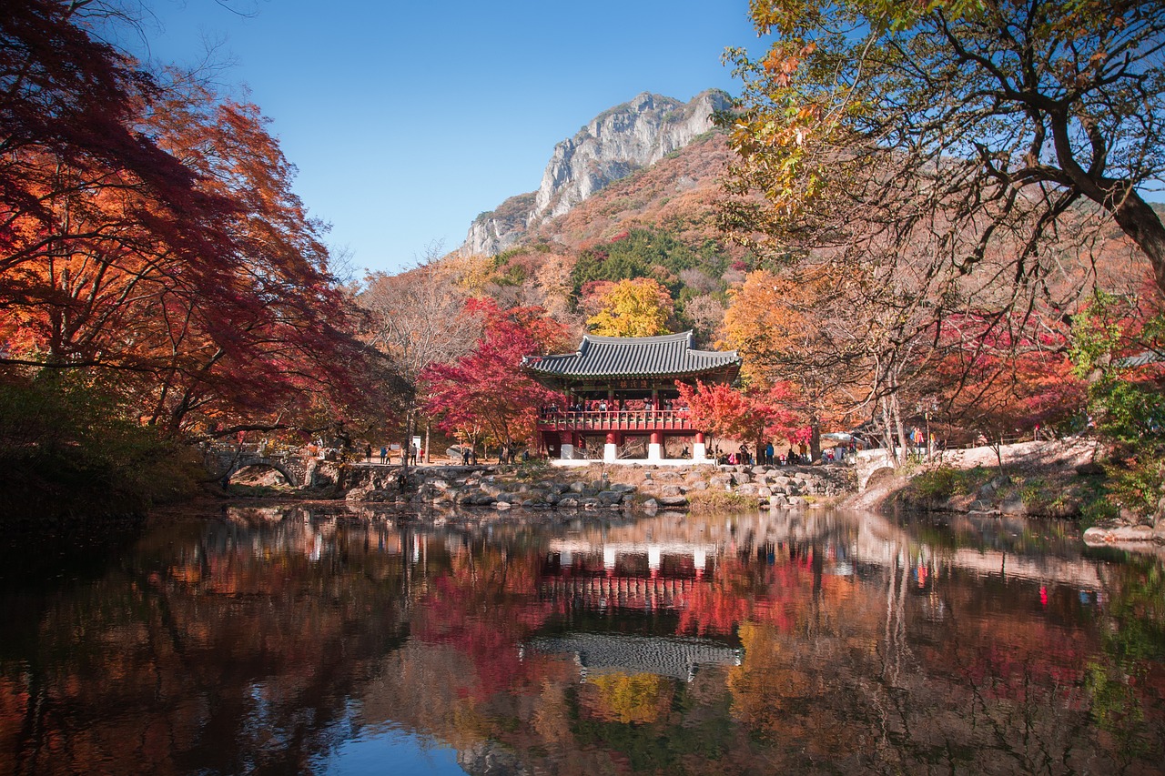 South Korea in February: Your Ultimate Travel Guide!