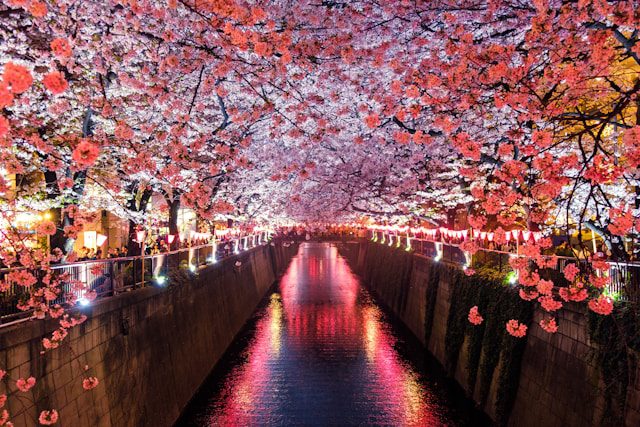Spring in Japan in 2026: Top Outdoor Activities & Attractions