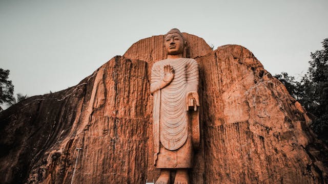 Sunny & Tropical Sri Lanka Itinerary (7 Days) for Tourists