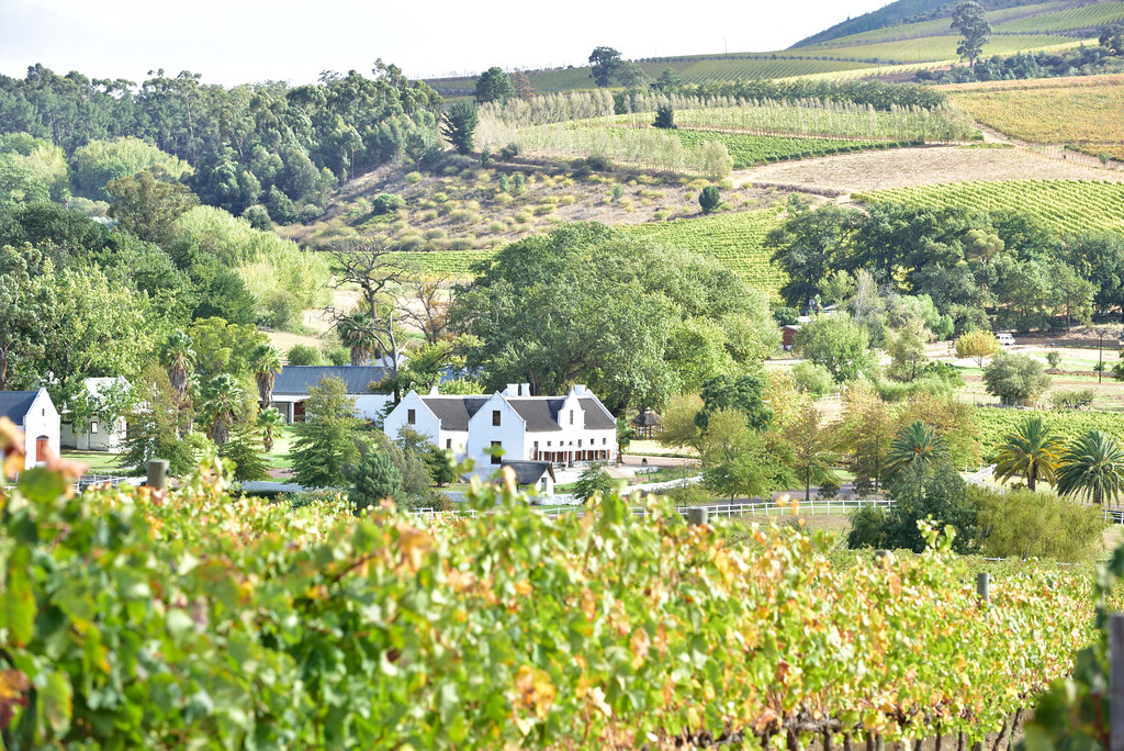 Stellenbosch Wine Festival 
