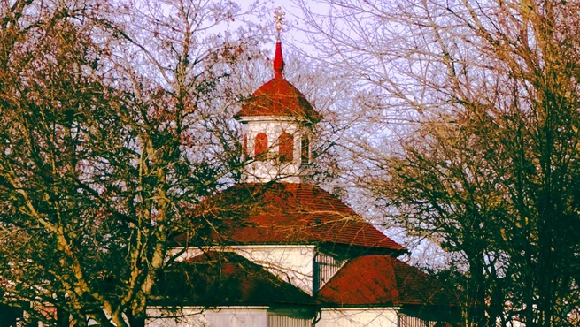 Sweden Visa Photo Requirements for Indians