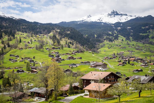 Alpine village with wooden chalets