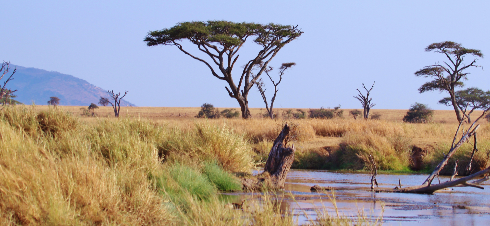 Discover Tanzania in February: Weather, Culture, and Adventure Guide