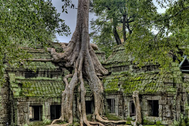 Temples In Cambodia