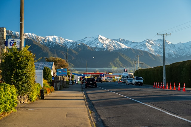 25 Best Things To Buy in New Zealand That Every Traveler Should Consider
