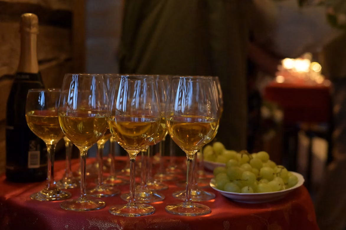 Wine tasting in Franschhoek