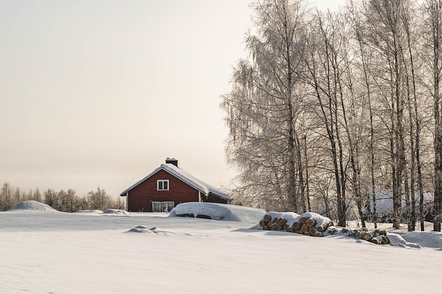 Winter in Finland: Experience Icy Adventures in Northern Europe
