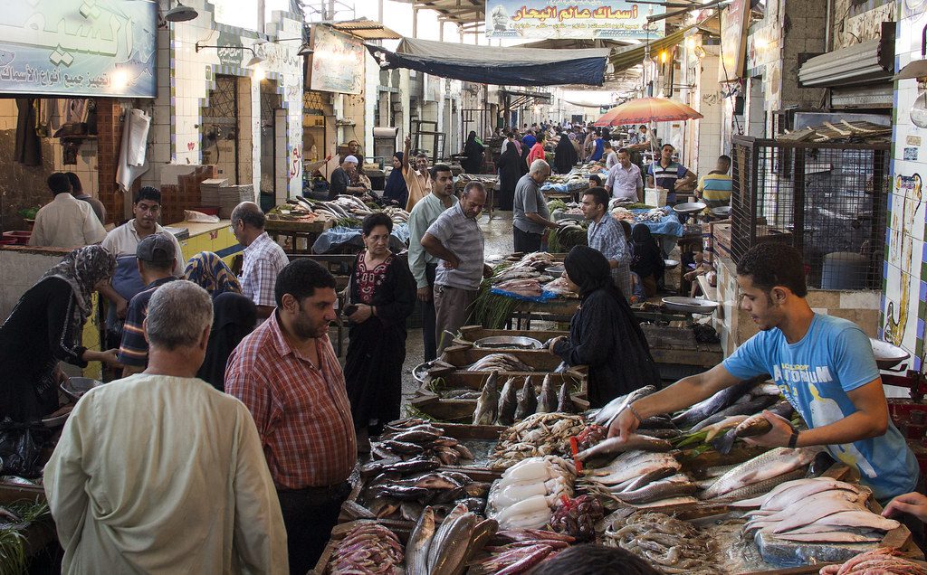 A fish market in Egypt