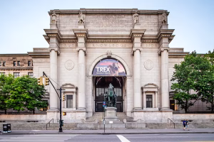American Museum of Natural History, New York, USA.