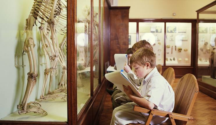 Horniman Museum and Gardens