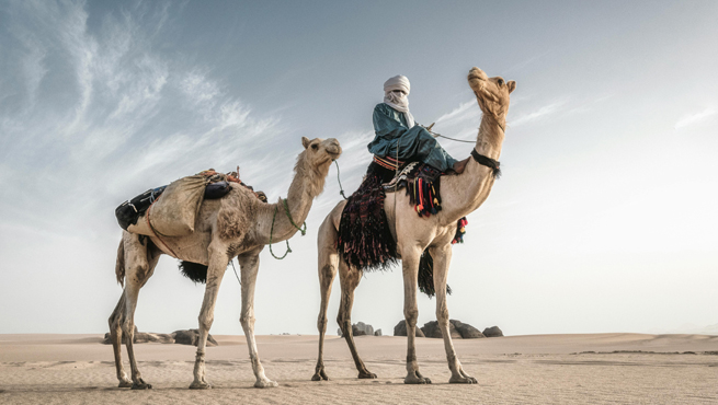 How to Book Algeria Visa Appointment for Indians