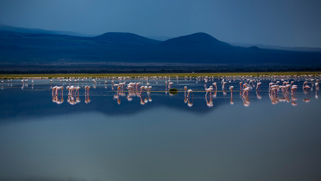 How To Book Kenya Visa Appointment For Indians