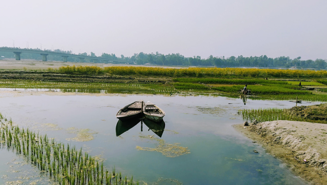 How To Check Bangladesh Visa Status Online For Indians