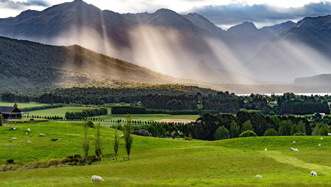 How To Check New Zealand Visa Status Online For Indians