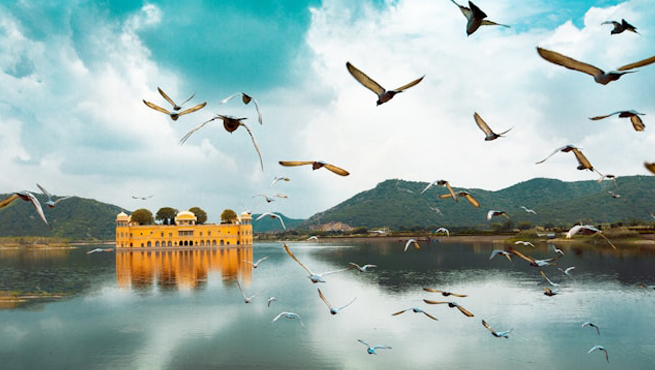 India Visa for Albanian Citizens