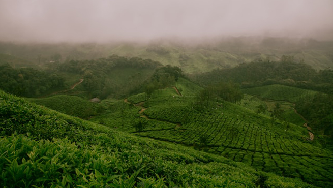 India Visa for Canadian Citizens