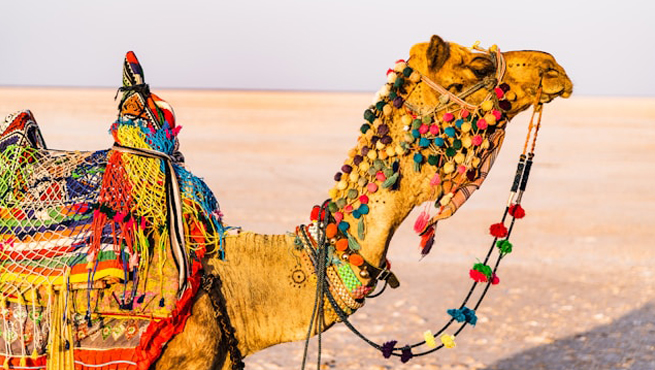 India Visa for German Citizens