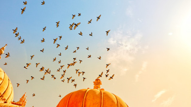 India Evisa for Malaysia