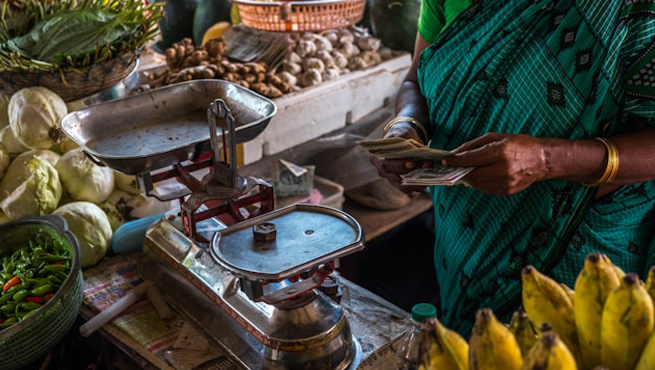 India Evisa for New Zealand